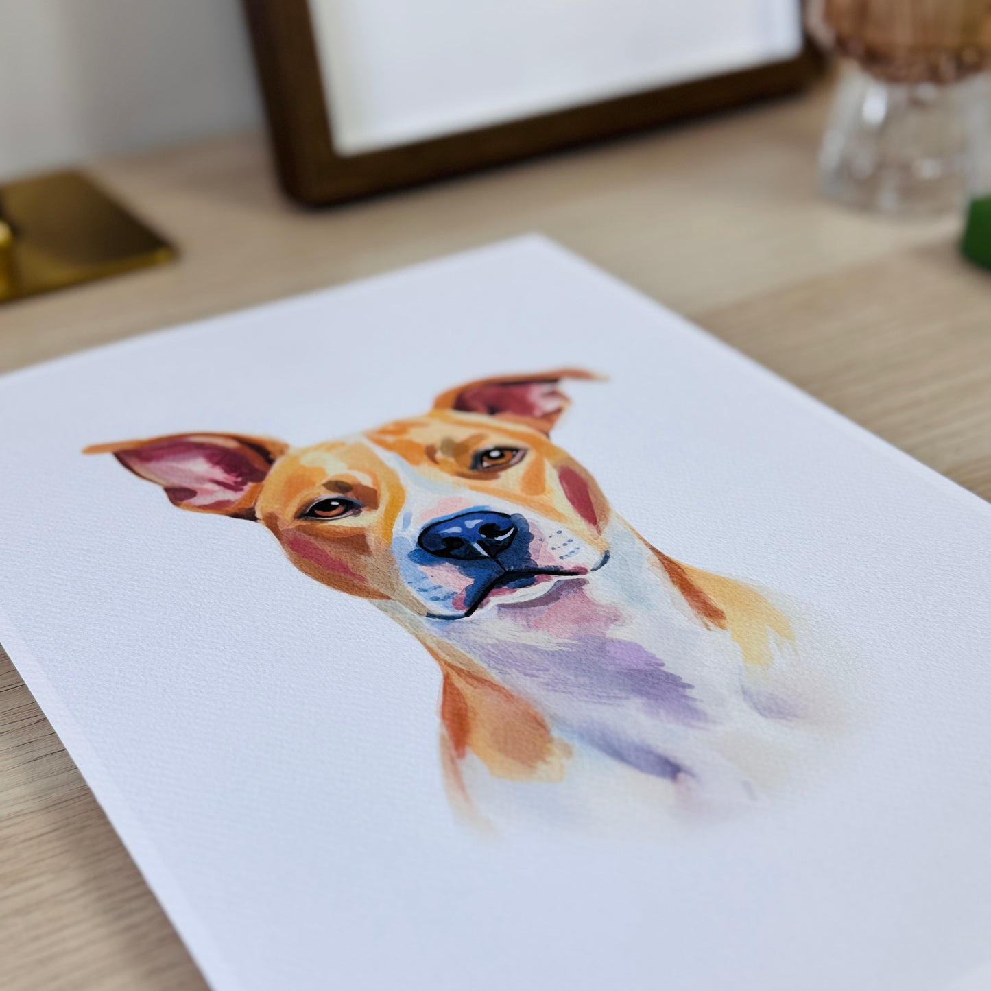 Pet Portrait