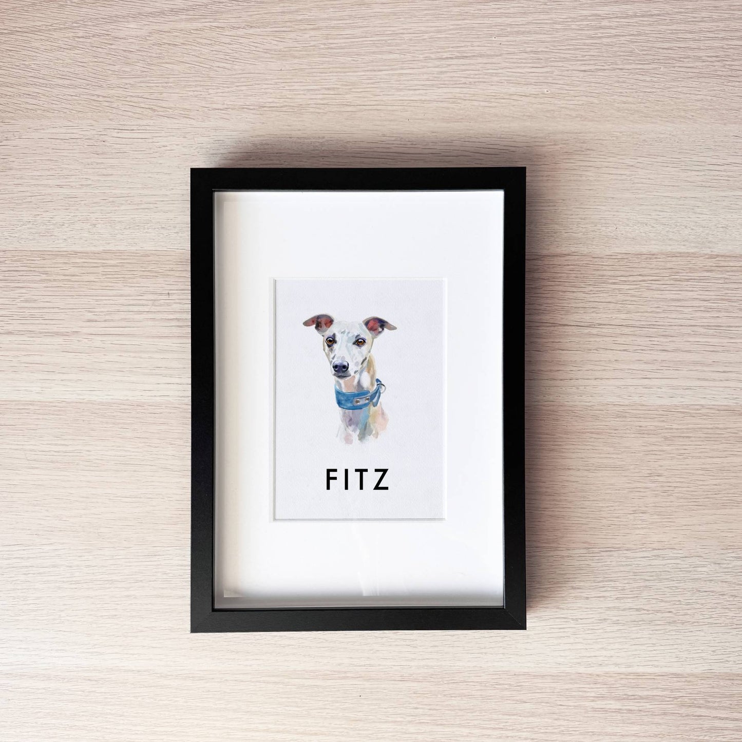 Pet Portrait