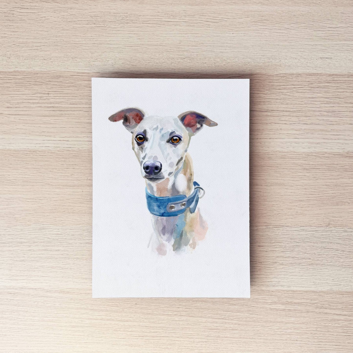Pet Portrait