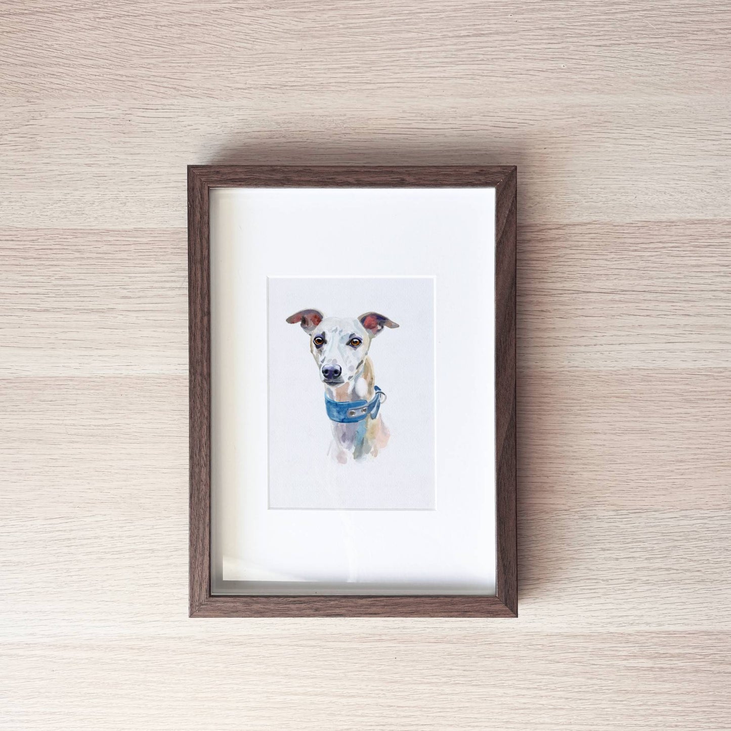 Pet Portrait