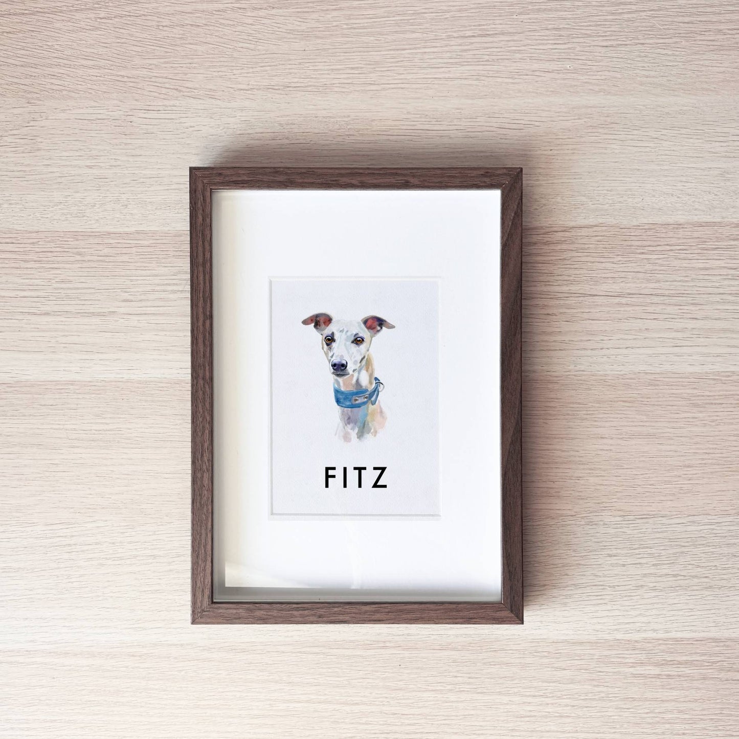 Pet Portrait