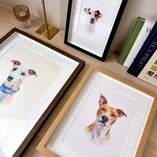 Pet Portrait