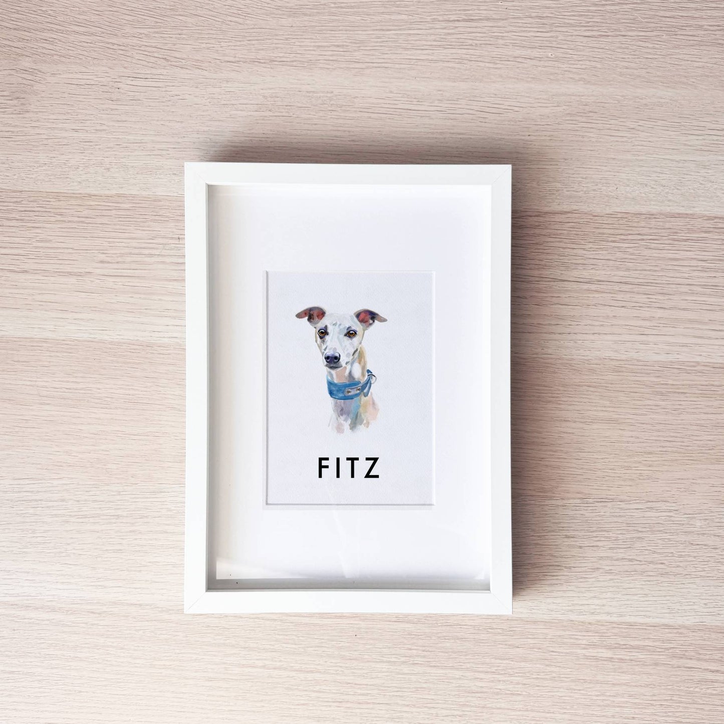Pet Portrait