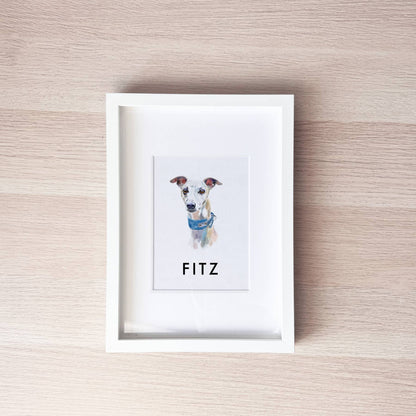 Pet Portrait