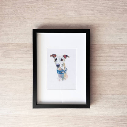 Pet Portrait