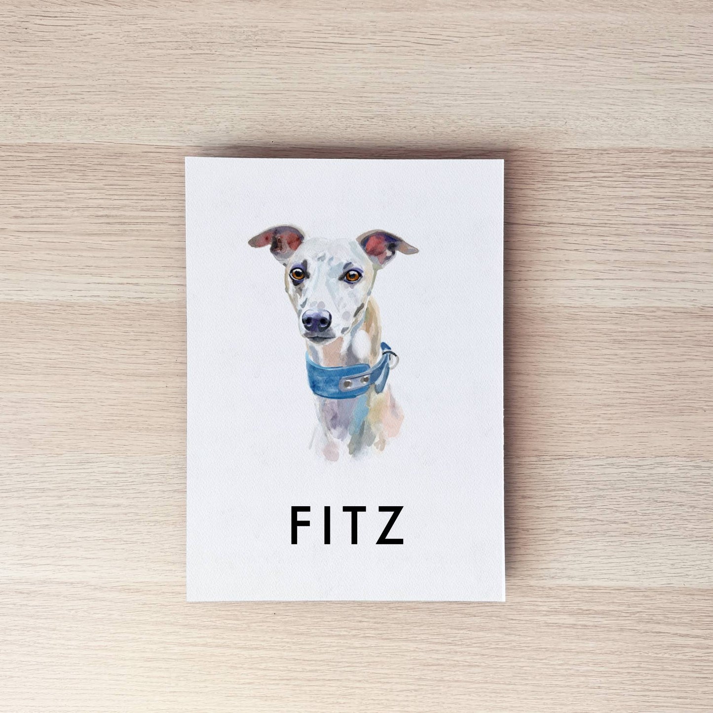 Pet Portrait