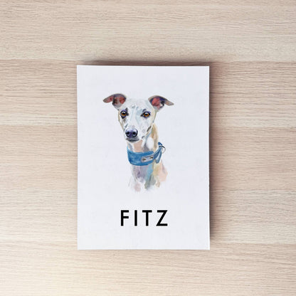 Pet Portrait