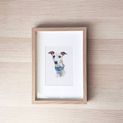 Pet Portrait