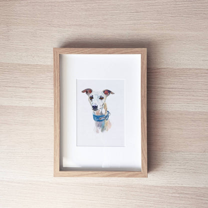 Pet Portrait