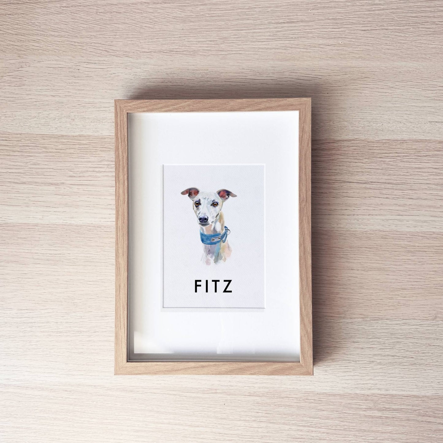 Pet Portrait