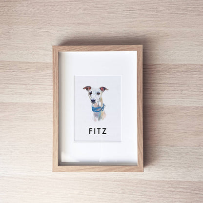 Pet Portrait