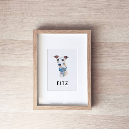 Pet Portrait