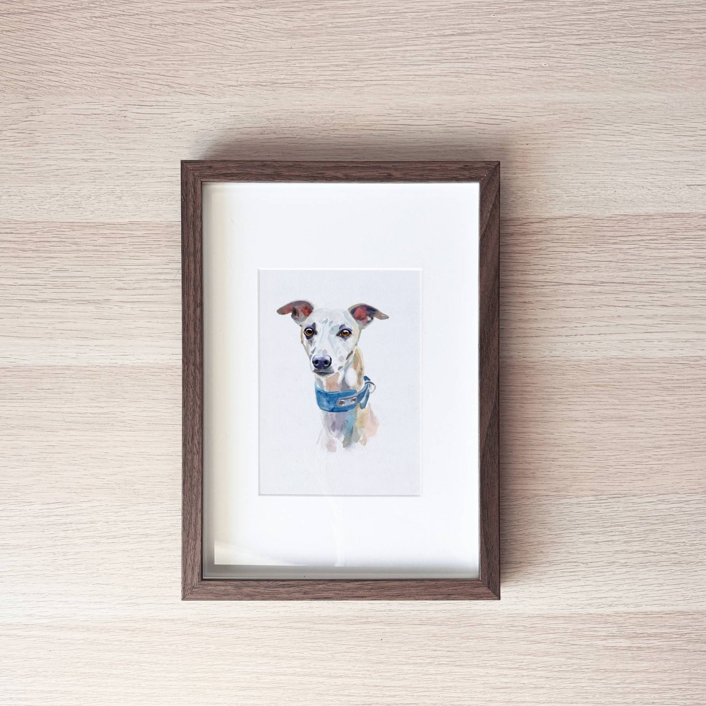 Pet Portrait