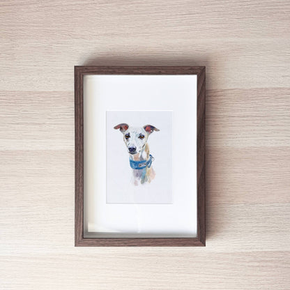 Pet Portrait