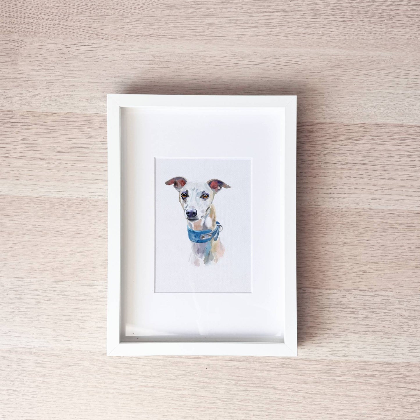 Pet Portrait