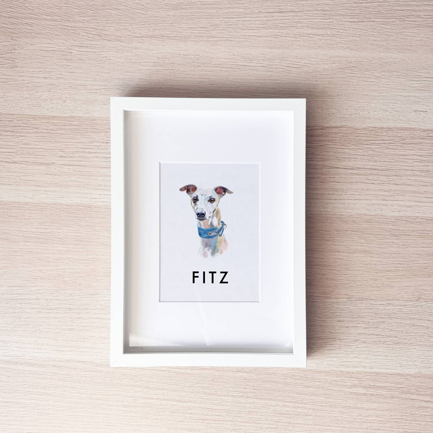 Pet Portrait